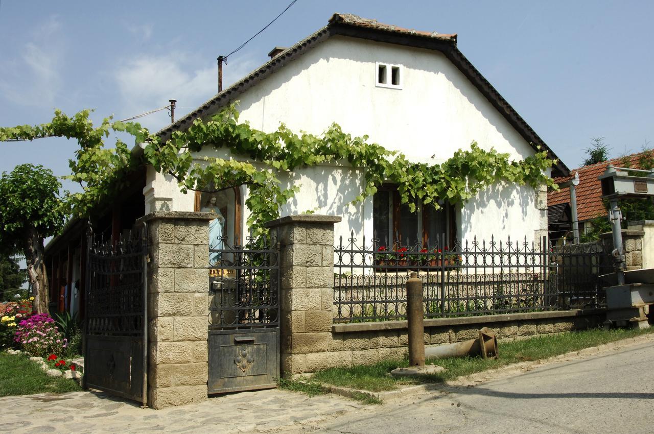 Pataky Borporta Bed & Breakfast Tarcal Exterior photo