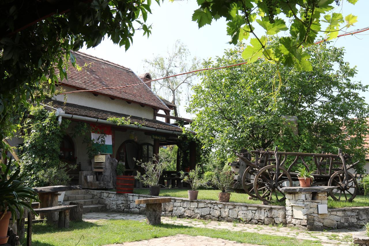 Pataky Borporta Bed & Breakfast Tarcal Exterior photo