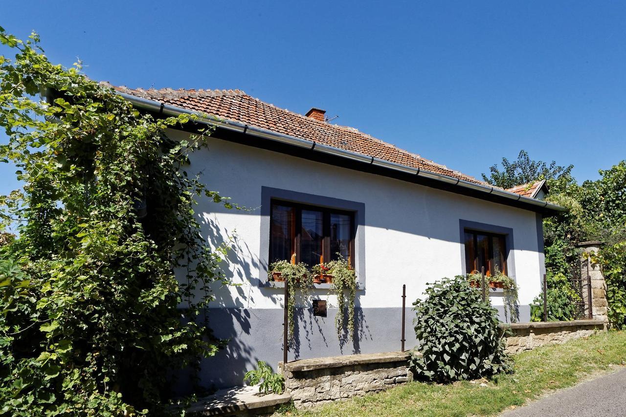 Pataky Borporta Bed & Breakfast Tarcal Exterior photo